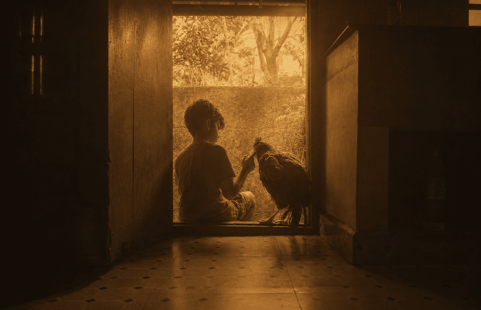 JOKUTTAN AND THE DRAGON — A quiet companion